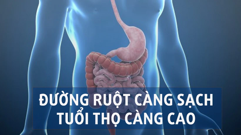 Cổ nhân dạy “nếu không muốn chết, ruột đừng có cặn” và đây là 3 cách làm sạch ruột bạn phải biết