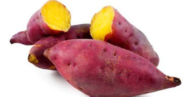 Giáo sư hàng đầu khẳng định Khoai lang là thực phẩm tốt nhất trên thế giới, tiêu diệt tế bào ung thư sống trường thọ ảnh 3 Giáo sư hàng đầu khẳng định Khoai lang là thực phẩm tốt nhất trên thế giới, tiêu diệt tế bào ung thư sống trường thọ ảnh 3