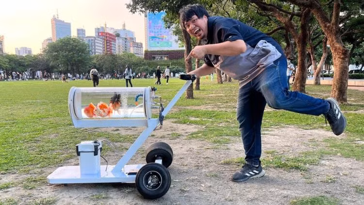 Chiếc xe đẩy dành riêng cho cá vàng "đi khắp muôn nơi".