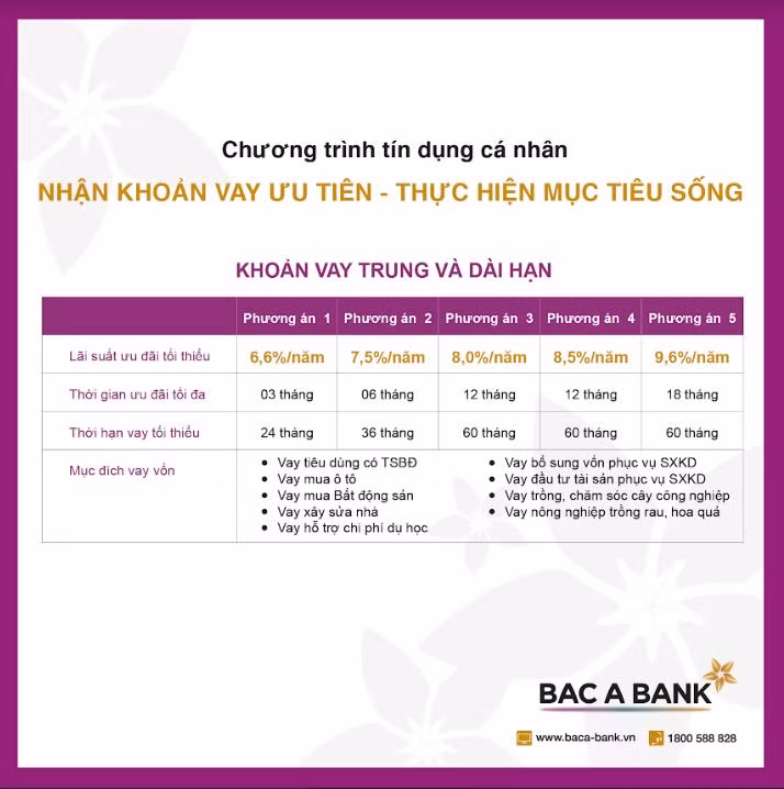 Vay tiền thông minh - bí quyết của người làm chủ “túi tiền” ảnh 1