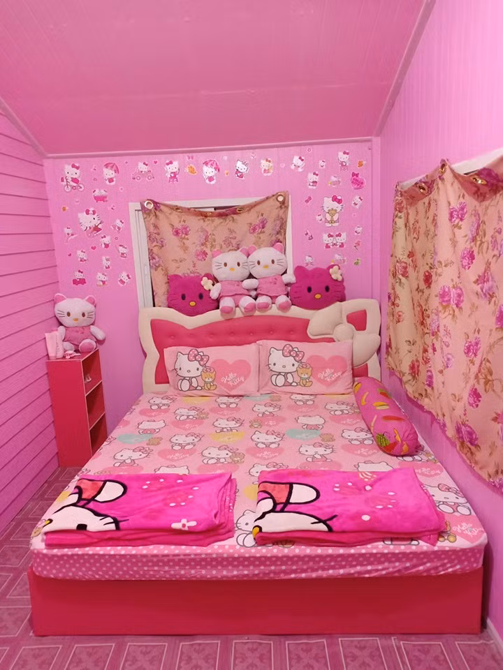 Sửng sốt cơ ngơi của người phụ nữ "cuồng" màu hồng ảnh 6