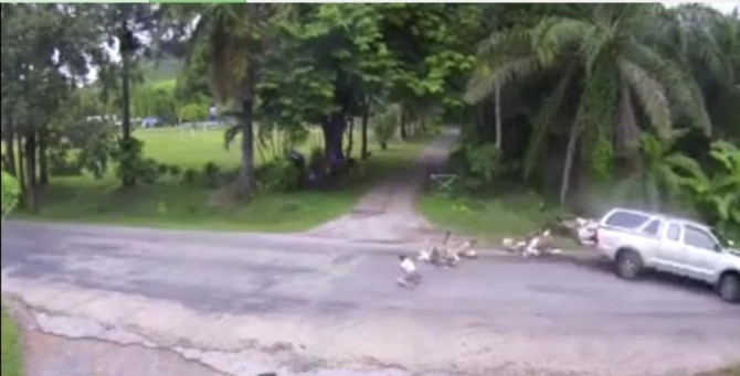 Kinh hoàng cảnh 13 học sinh văng xuống đường sau cú đụng xe - Ảnh 1 Kinh hoàng cảnh 13 học sinh văng xuống đường sau cú đụng xe - Ảnh 1