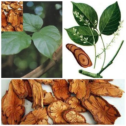 4 bài thuốc chống thoái hóa cột sống cổ