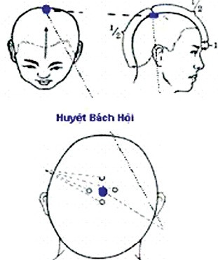 Day huyệt Bách hội giúp tinh thần hưng phấn ảnh 1 Day huyệt Bách hội giúp tinh thần hưng phấn
