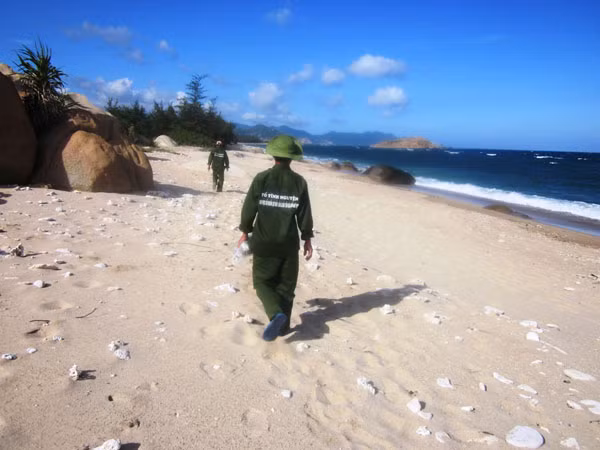 Chia phiên canh trực 24/24 giờ để bảo vệ rùa biển