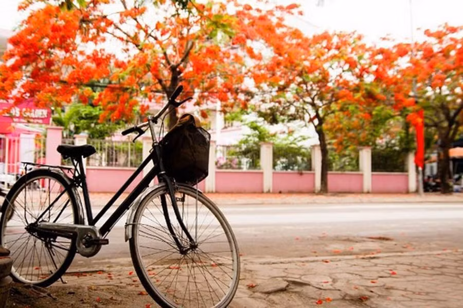 Ảnh minh họa: ITN.