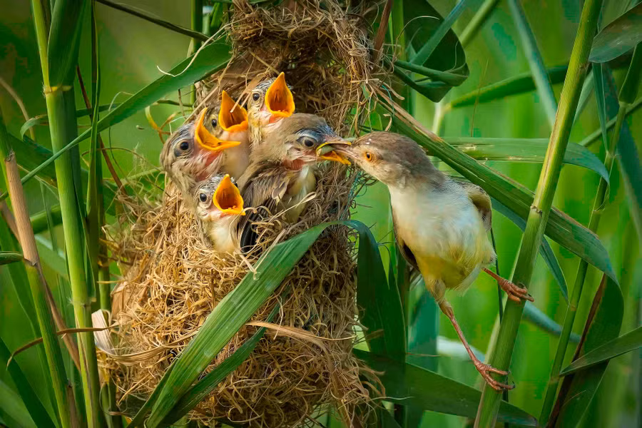 Ảnh minh họa: ITN