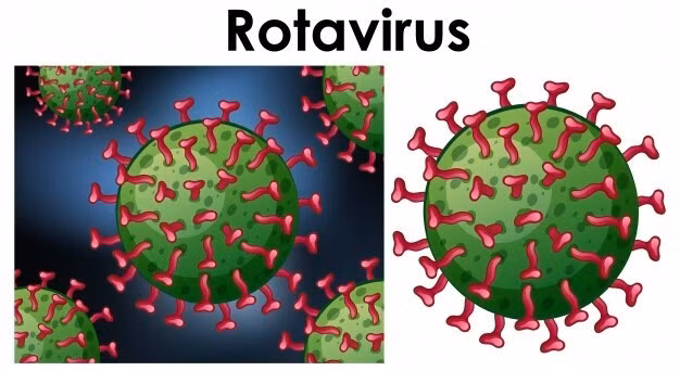 Rotavirus có thể gây tiêu chảy mãn tính