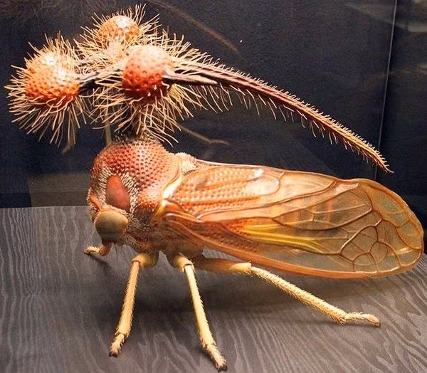 Độc lạ loài sinh vật giống như người ngoài hành tinh ảnh 2