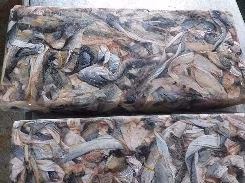 Bột giàu dinh dưỡng từ phế phẩm xương cá