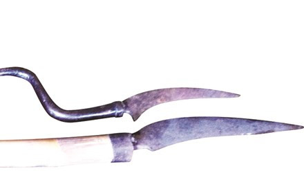 Những chiếc xà gạc