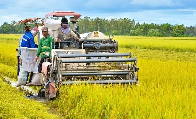 Chuyên gia cho rằng, phải gắn kết xây dựng nông thôn mới với phát triển đô thị. Ảnh minh họa