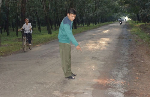 Đoạn đường vắng trong lô cao su nơi xảy ra án mạng. Ảnh: Nguyệt Triều.