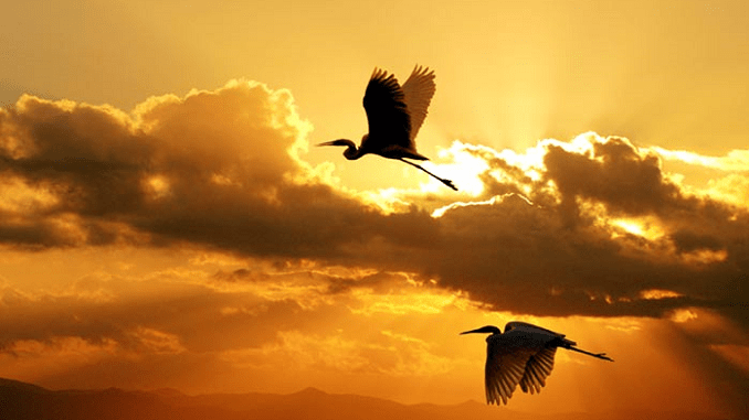 Ảnh minh họa: INT Ảnh minh họa: INT