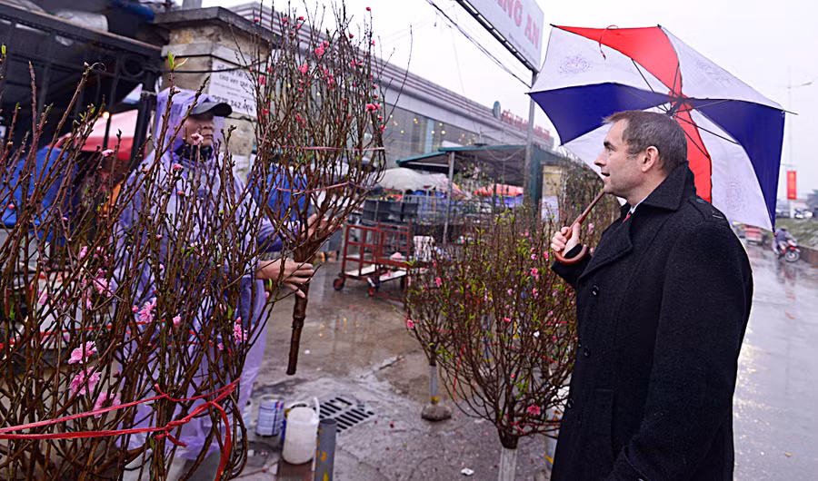Ông còn tự mình ra chợ hoa Quảng An để mua hai cành đào về chưng tết. Ông Poirier cho biết, năm nào ông cũng mua đào về để lấy may mắn.