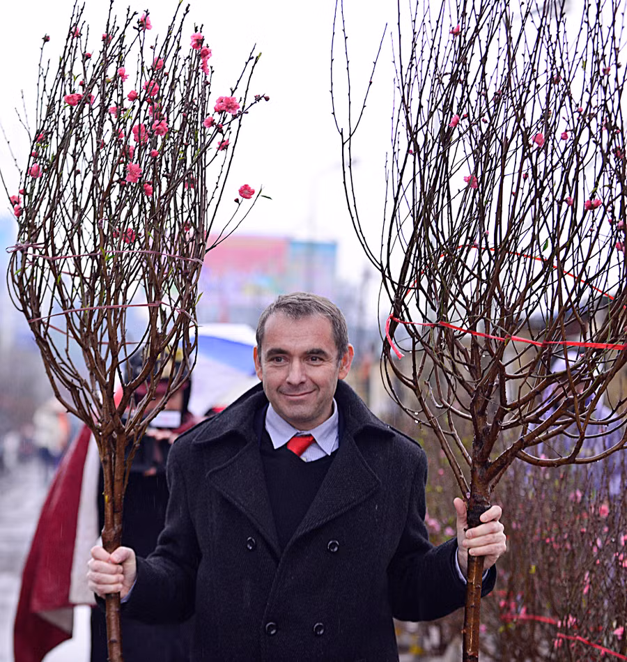 Hai cành đào giá 500.000 đồng được đại sứ mua về để ở phòng làm việc và nhà của mình.