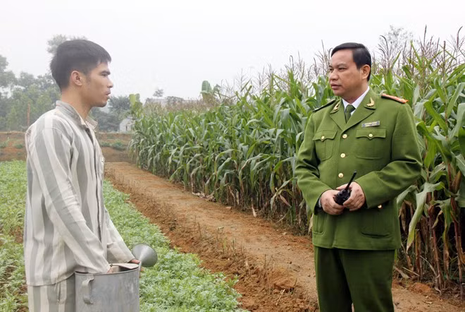 Giám thị trại giam số 3 thăm hỏi, động viên phạm nhân đang lao động ngoài đồng.