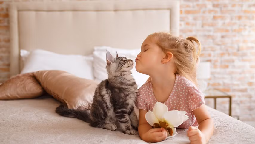 Trẻ cần đảm bảo sẽ có trách nhiệm với thú cưng.