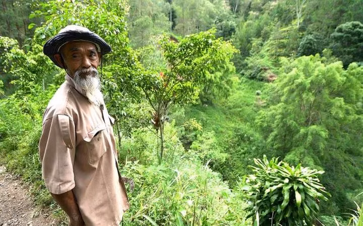 Người đàn ông "điên" suốt 24 năm biến những ngọn đồi cằn cỗi thành rừng xanh tốt ảnh 1