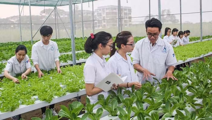 Ảnh minh họa/ITN