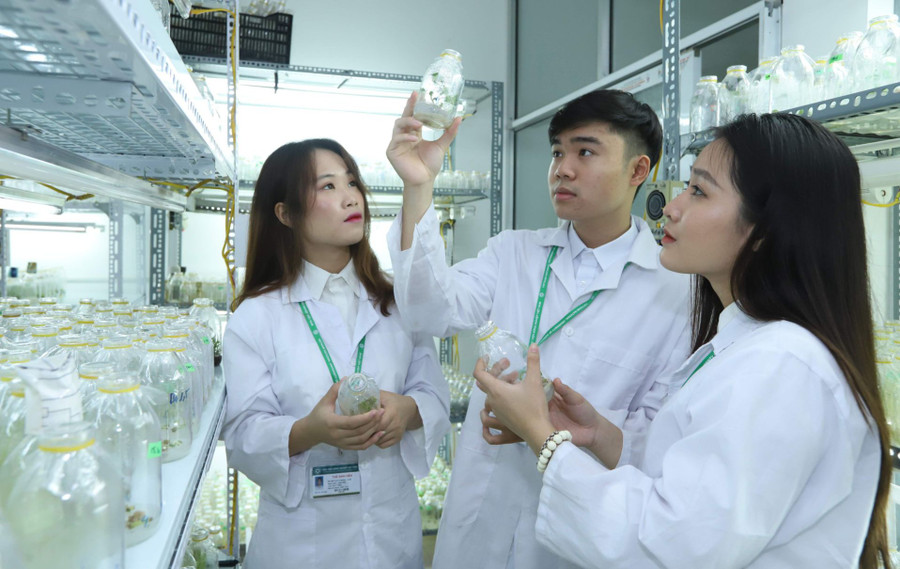 Ảnh minh họa ITN. Ảnh minh họa ITN.