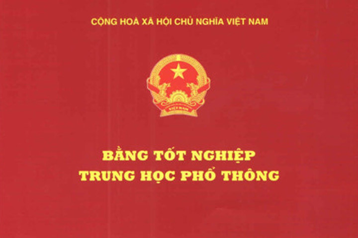 4 giáo viên dùng bằng giả dạy lái xe bị phát hiện