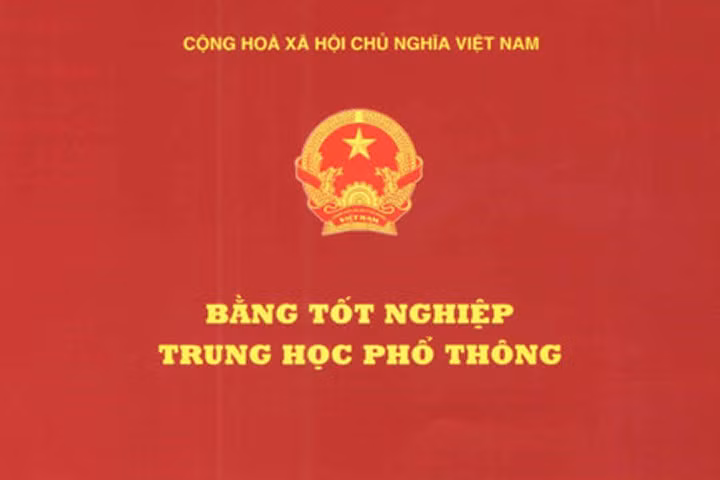 4 giáo viên dùng bằng giả dạy lái xe bị phát hiện