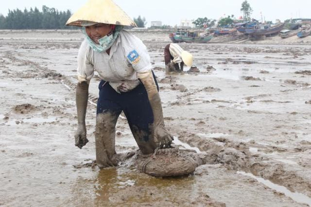 Nghề "săn" cá còi cũng là nghề vô cùng vất vả