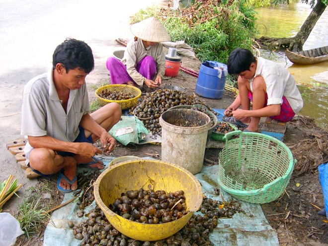 Thương lái Trung Quốc thu mua ồ ạt những gì trong 1 tháng qua? - Ảnh 3