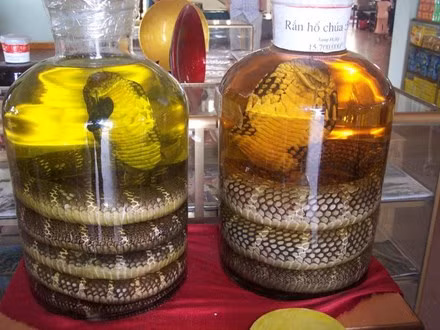 Ảnh có tính chất minh hoạ/Internet