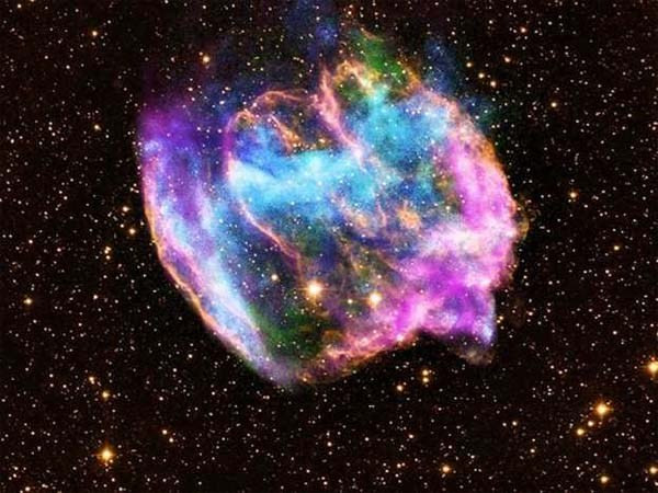 7 khám phá khoa học “động trời” do trẻ em tìm ra ảnh 4