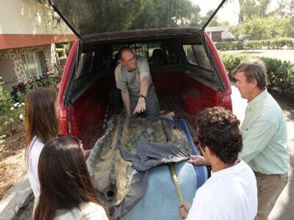 7 khám phá khoa học “động trời” do trẻ em tìm ra ảnh 8