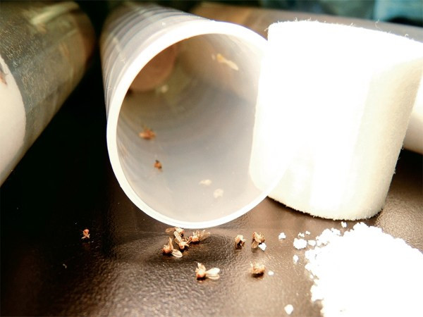 7 khám phá khoa học “động trời” do trẻ em tìm ra ảnh 1