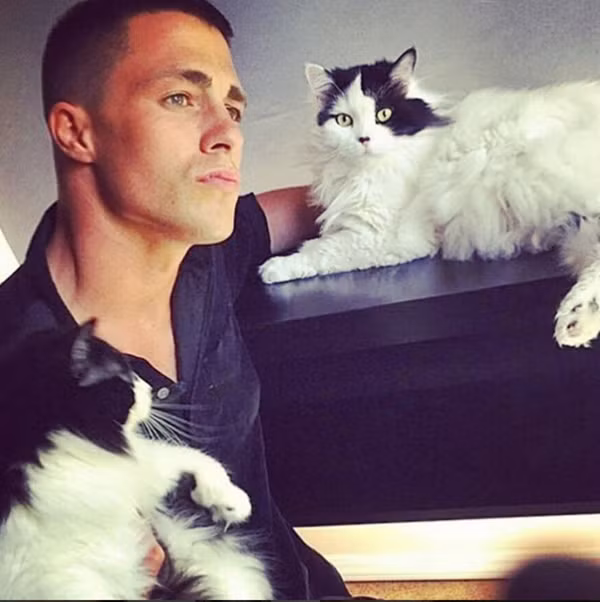 loat-trai-dep-om-ap-meo-cung-khien-instagram-dien-dao-3