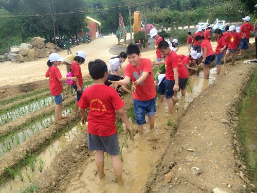 Học sinh trải nghiệm “tập làm bác nông dân” Học sinh trải nghiệm “tập làm bác nông dân”