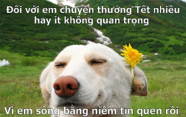 Loạt ảnh chế hài hước về những nỗi niềm ngày Tết không của riêng ai - Ảnh 7. Loạt ảnh chế hài hước về những nỗi niềm ngày Tết không của riêng ai - Ảnh 7.