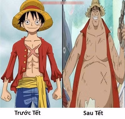 Loạt ảnh chế hài hước về những nỗi niềm ngày Tết không của riêng ai - Ảnh 15.