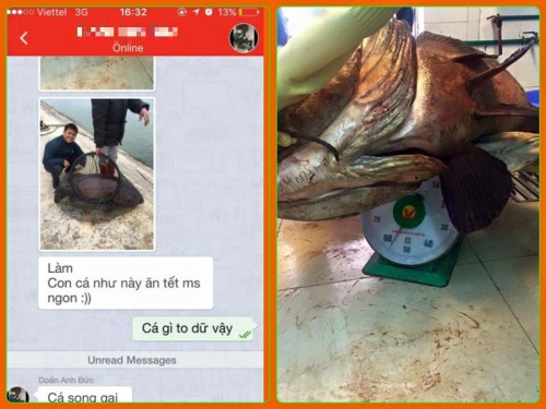 món ăn ngày tết, gây xôn xao, tết nguyên đán, nam thanh niên, Cộng đồng mạng, con cá, khoe, người, nhà, đến, đón món ăn ngày tết, gây xôn xao, tết nguyên đán, nam thanh niên, Cộng đồng mạng, con cá, khoe, người, nhà, đến, đón