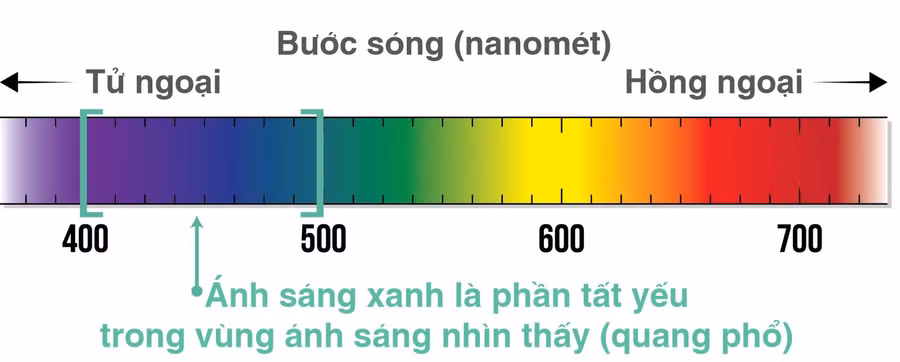 Những nguyên nhân “không thể ngờ” có thể gây mù lòa