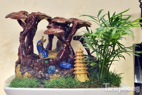 Quá đẹp nấm linh chi bonsai bạc triệu chơi Tết