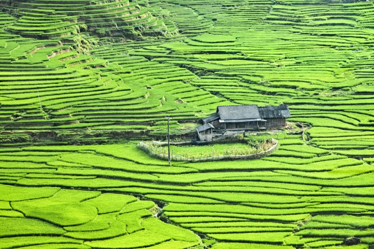 Báo Mỹ: 21 điều ấn tượng nhất ở Việt Nam - Hình 15 Bao My: 21 dieu an tuong nhat o Viet Nam-Hinh-15