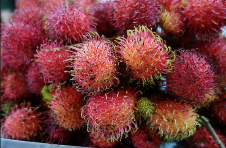 Báo Mỹ: 21 điều ấn tượng nhất ở Việt Nam - Hình 10 Bao My: 21 dieu an tuong nhat o Viet Nam-Hinh-10