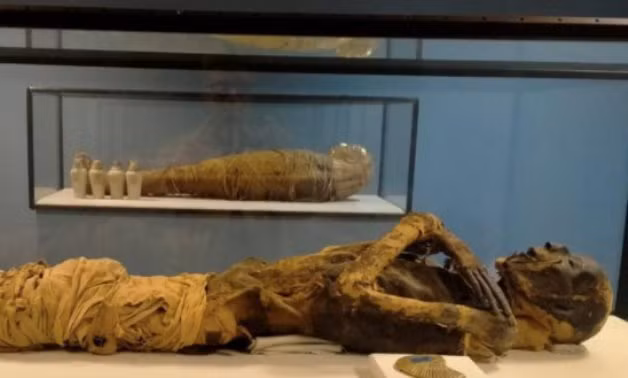 Một trong những xác ướp được đặt trong Bảo tàng Sân bay Quốc tế Cairo.