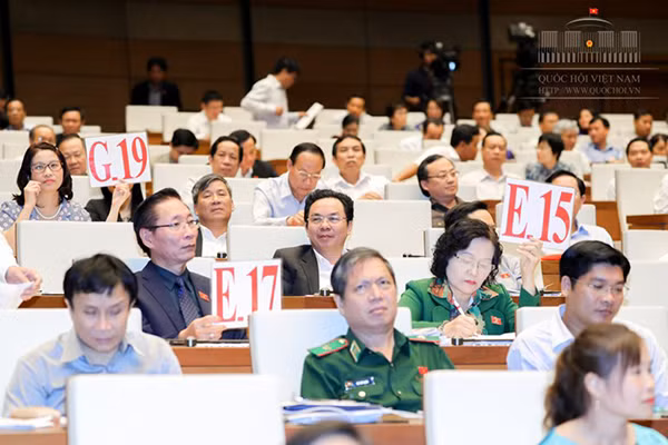 Đại biểu chất vấn vấn đề thuộc lĩnh vực nào thì trưởng ngành phụ trách chính lĩnh vực đó sẽ trả lời.