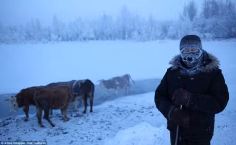 Ngoi lang lanh nhat the gioi - noi mat 3 ngay de chon cat nguoi chet - Anh 2