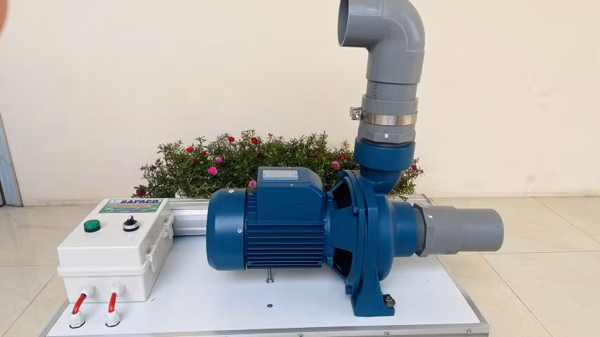 Sản phẩm SAFACO do nhóm HS sáng tạo. Ảnh: TG