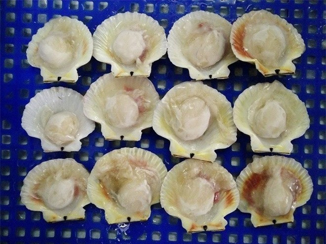 bao-ngu-ngoisao.vn-w850-h566.jpg 1 bao-ngu-ngoisao.vn-w850-h566.jpg 1