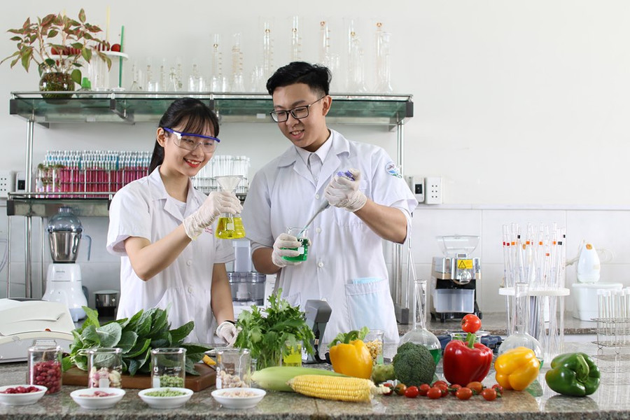 Nâng cao năng lực nghiên cứu khoa học là yêu cầu bắt buộc đối với giảng viên các trường ĐH Nâng cao năng lực nghiên cứu khoa học là yêu cầu bắt buộc đối với giảng viên các trường ĐH