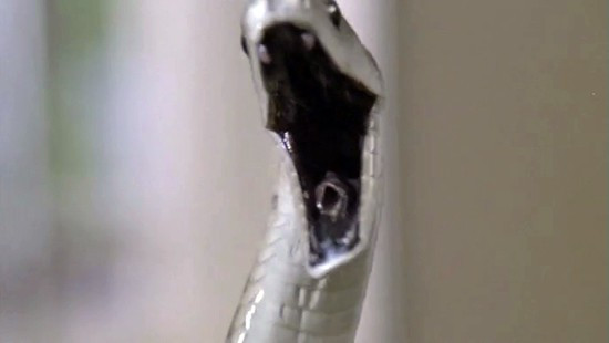 Chính sai lầm tai hại này đã khiến kế hoạch lập tức bị đảo lộn khi con rắn trốn thoát, còn lũ khủng bố vào con tin bị nhốt trong vòng vây của cảnh sát. Bên trong tòa nhà là một con rắn độc đang rình mò nơi các ống thông gió, cuộc đấu trí căng thẳng với bọn khủng bố để giành lại sự tự do. Venom đã thành công khi vừa luồng ghép được thể loại kinh dị xen lẫn giữa tâm lý, hành động, kịch tính. 4 bộ phim về loài rắn làm khán giả thót tim