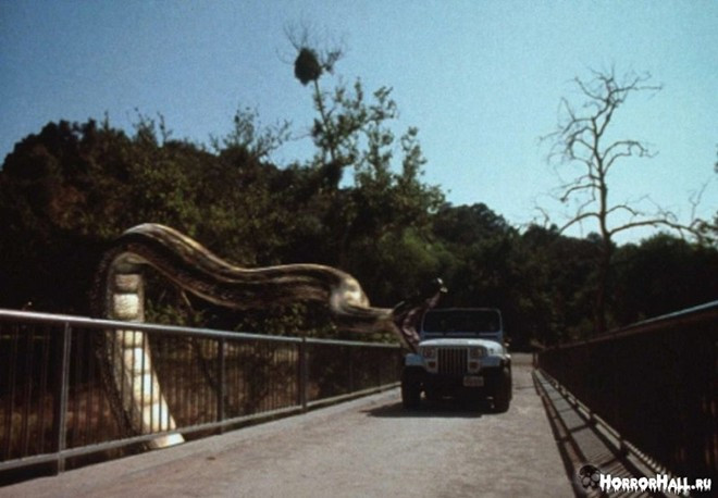 Những người dân trong khu vực đã phải sống trong những cơn ác mộng thực sự. Họ phải tìm cách phối hợp với các nhà khoa học nhằm tiêu diệt con quái vật sớm nhất có thể, trước khi con rắt trở nên hung bạo hơn. 4 bộ phim về loài rắn làm khán giả thót tim